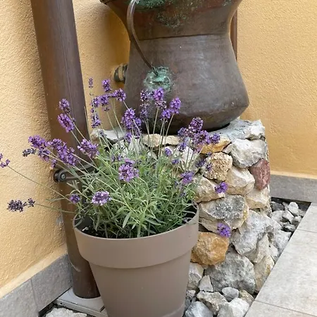 La Pulchella Appartement *