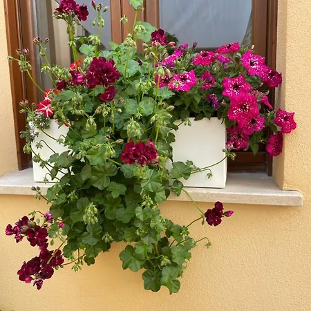 La Pulchella Appartement LʼAquila