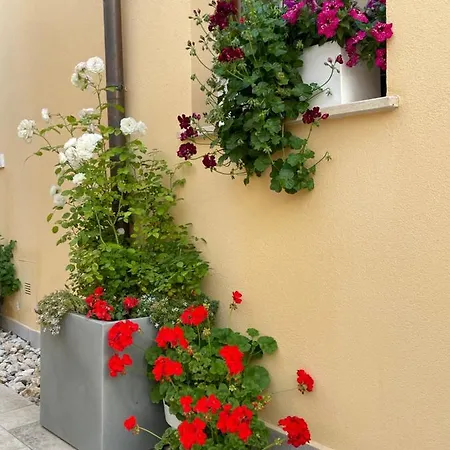 La Pulchella Apartment LʼAquila