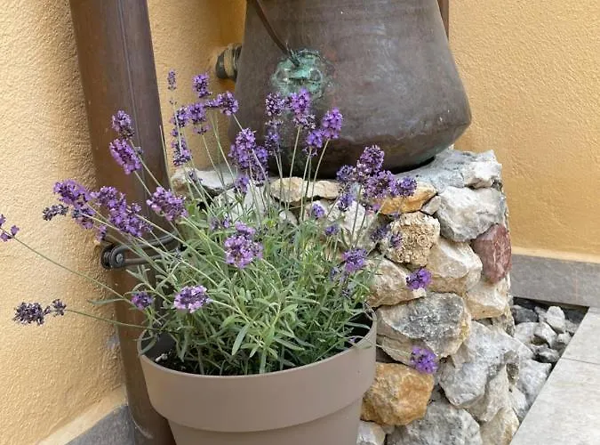 La Pulchella Apartmán *