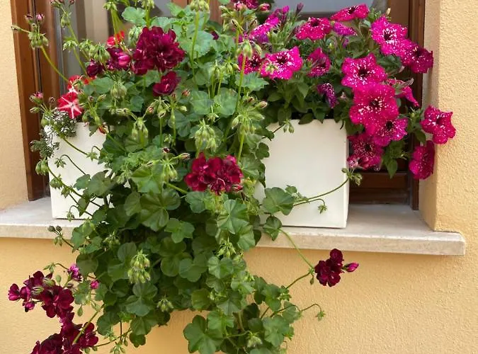 La Pulchella Appartement LʼAquila