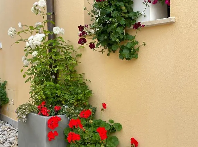 La Pulchella Appartement LʼAquila